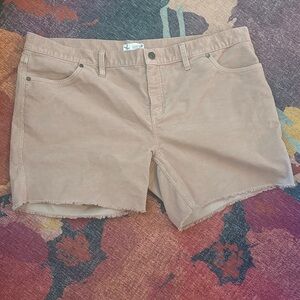 Carve Designs Women's Pink Shorts 16